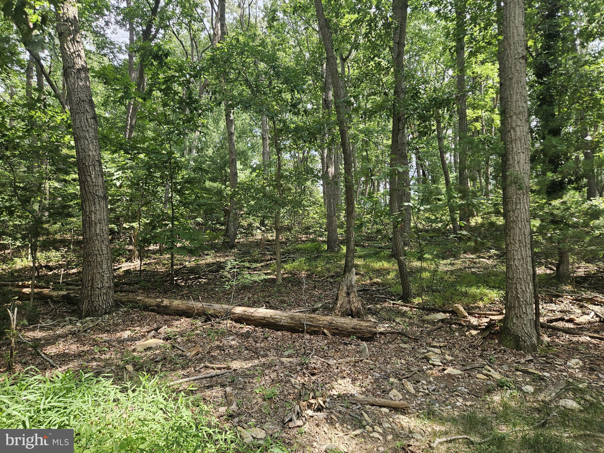 Nicodemus Road Westminster, MD 21157 - Photo 5 of 14 Gallery Image 5