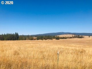 Foster Road Goldendale, WA 98620 - Photo 1 of 3 Gallery Image 1