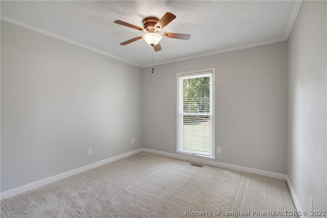 8303 Arabia Road Lumber Bridge, NC 28357 - Photo 24 of 34 Gallery Image 24