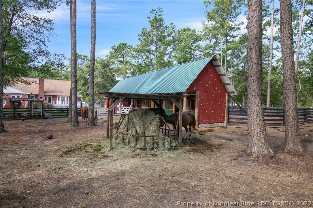 8303 Arabia Road Lumber Bridge, NC 28357 - Photo 33 of 34 Gallery Image 33