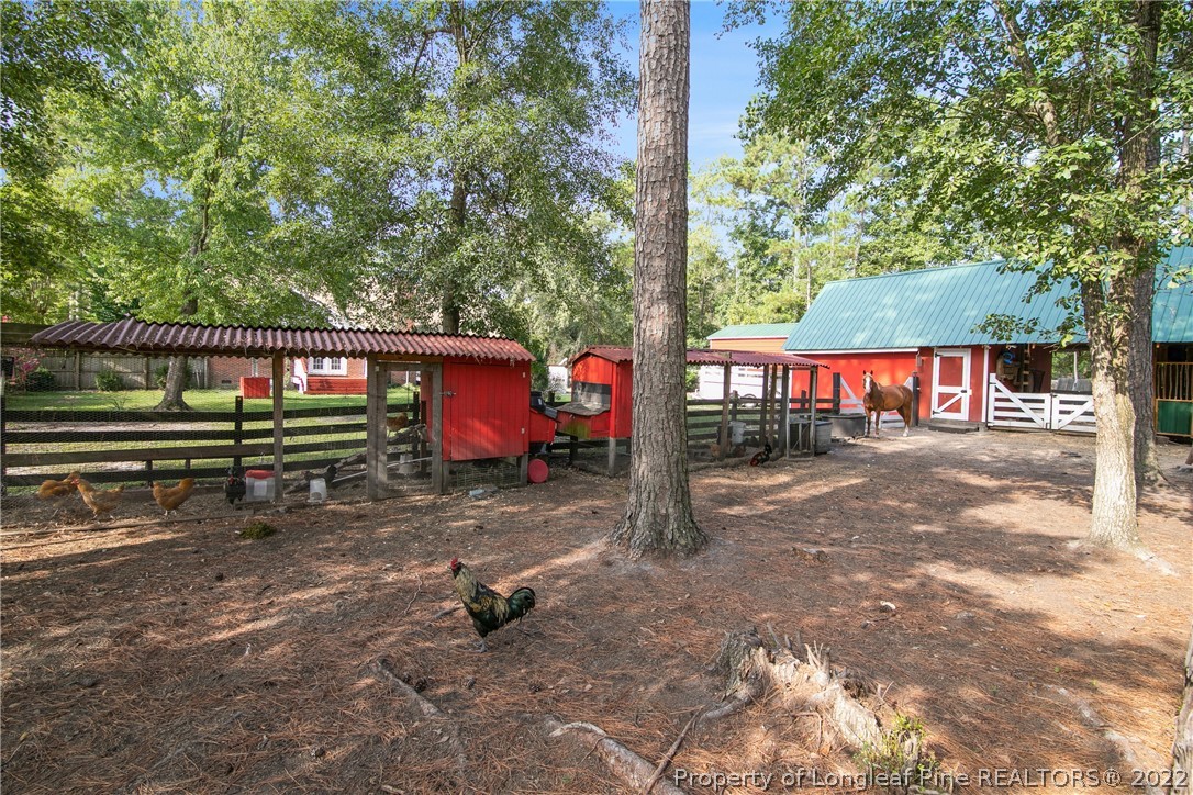 8303 Arabia Road Lumber Bridge, NC 28357 - Photo 34 of 34 Gallery Image 34