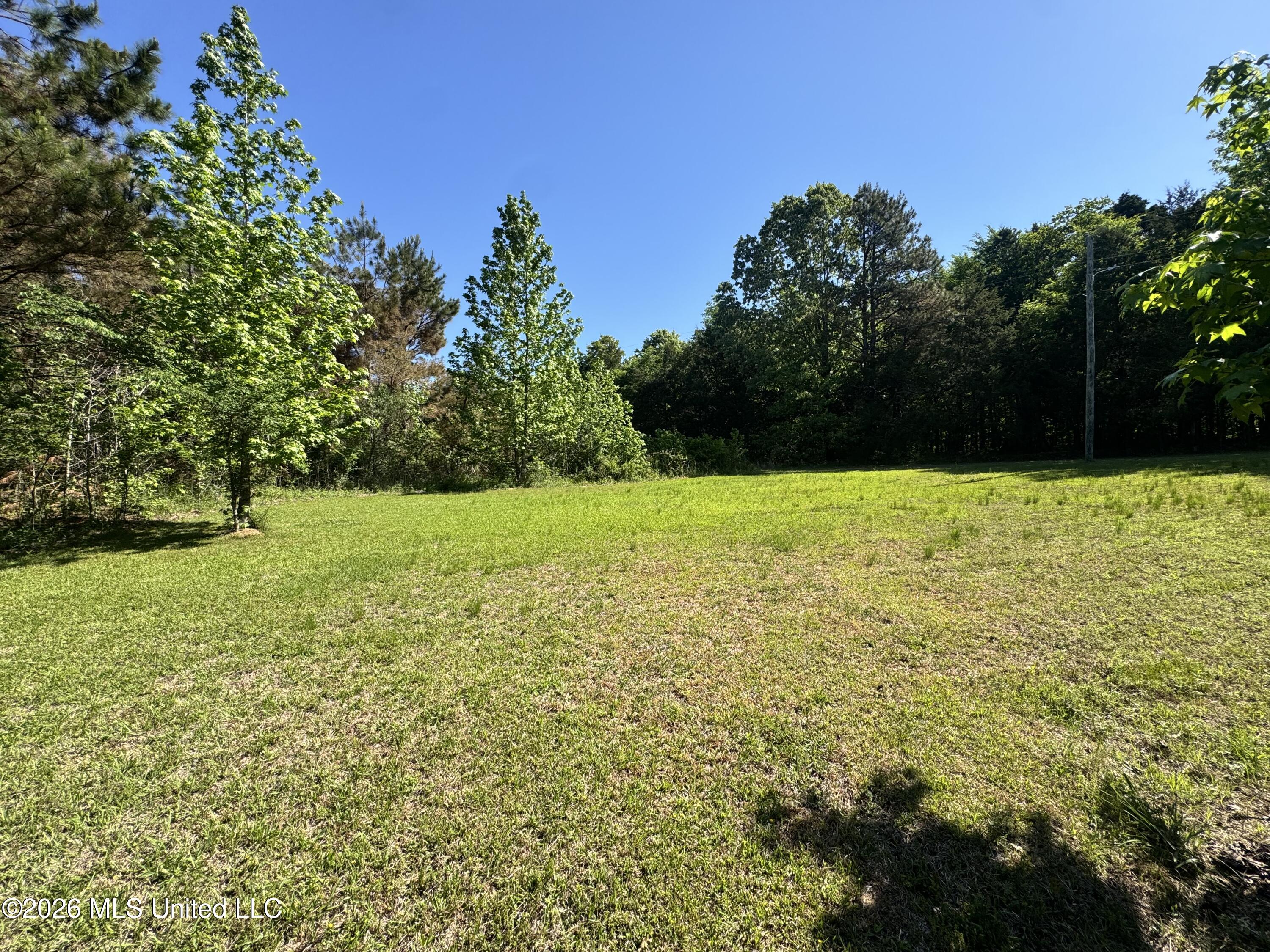 107 Union Valley Road Byhalia, MS 38611 - Photo 7 of 12 IMG_7334