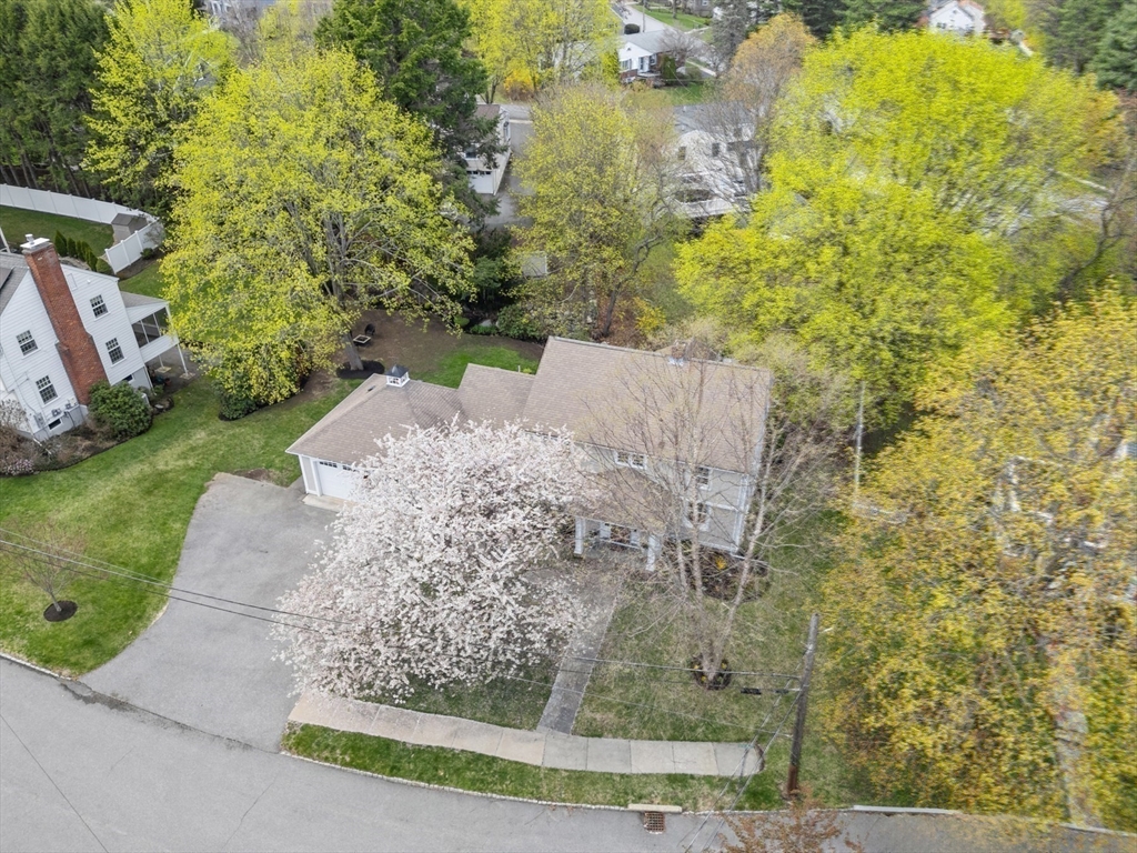 20 Seneca Road Winchester, MA 01890 - Photo 37 of 40 Gallery Image 37