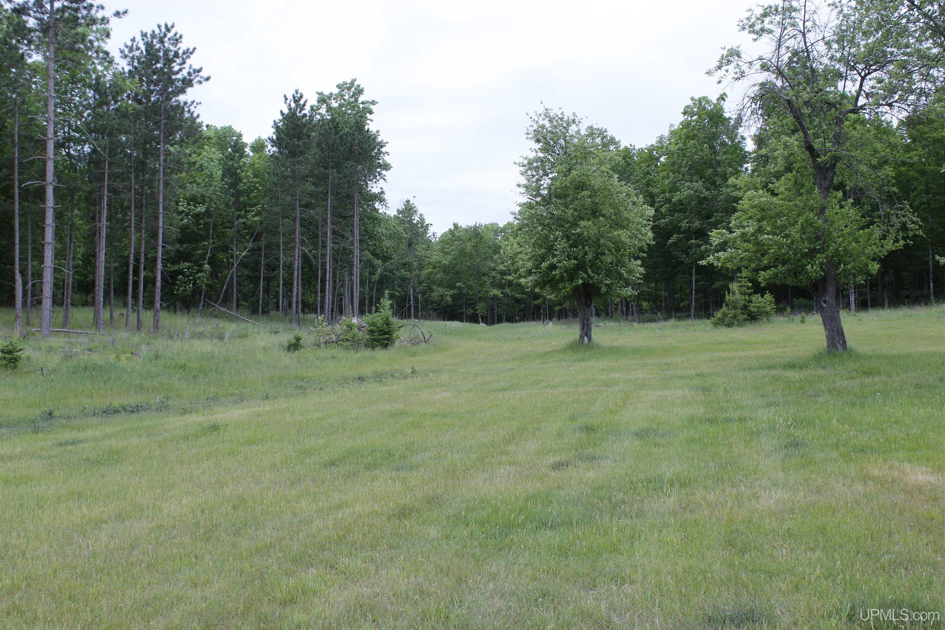 W2588 31 Lane Daggett, MI 49821 - Photo 32 of 58