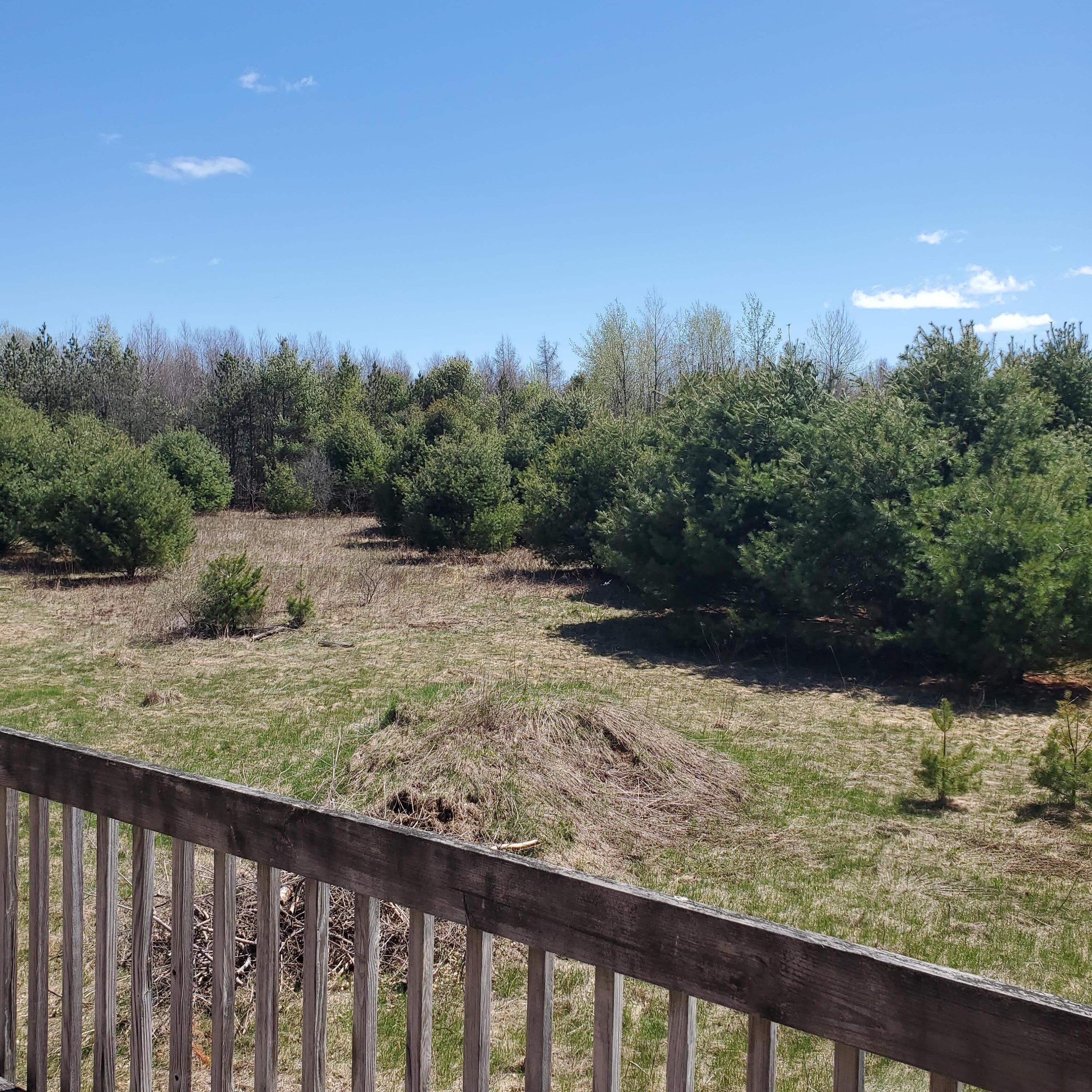 383 Pownal Road Freeport, ME 04032 - Photo 48 of 51 20210501_133053