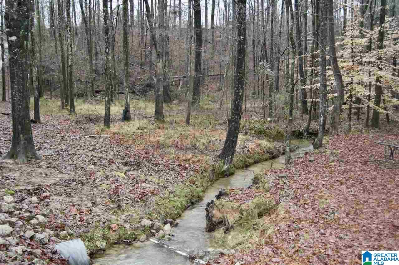 689 Rocky Ridge Road Dora, AL 35062 - Photo 6 of 29