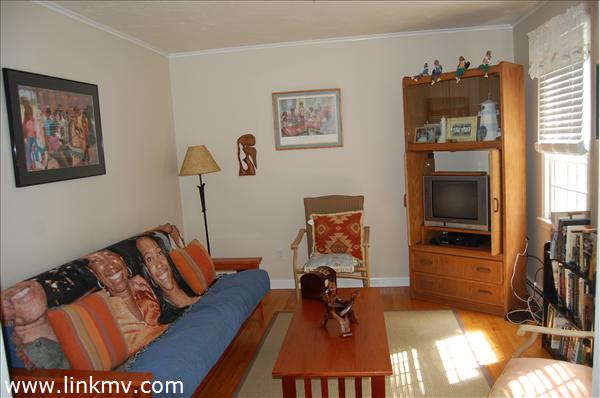 Den/Study with Pocket Doors