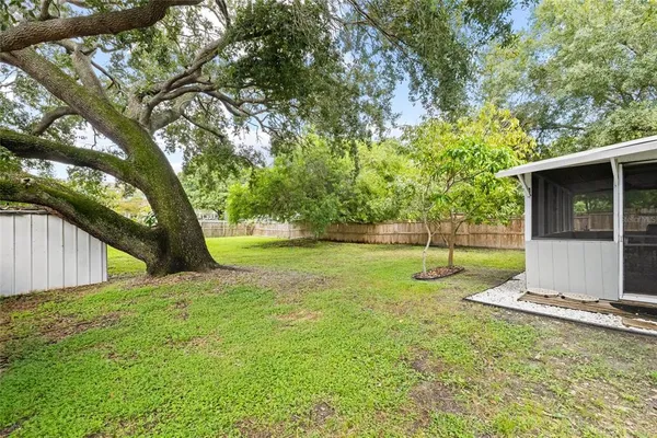 a view of a backyard with a small cabin
