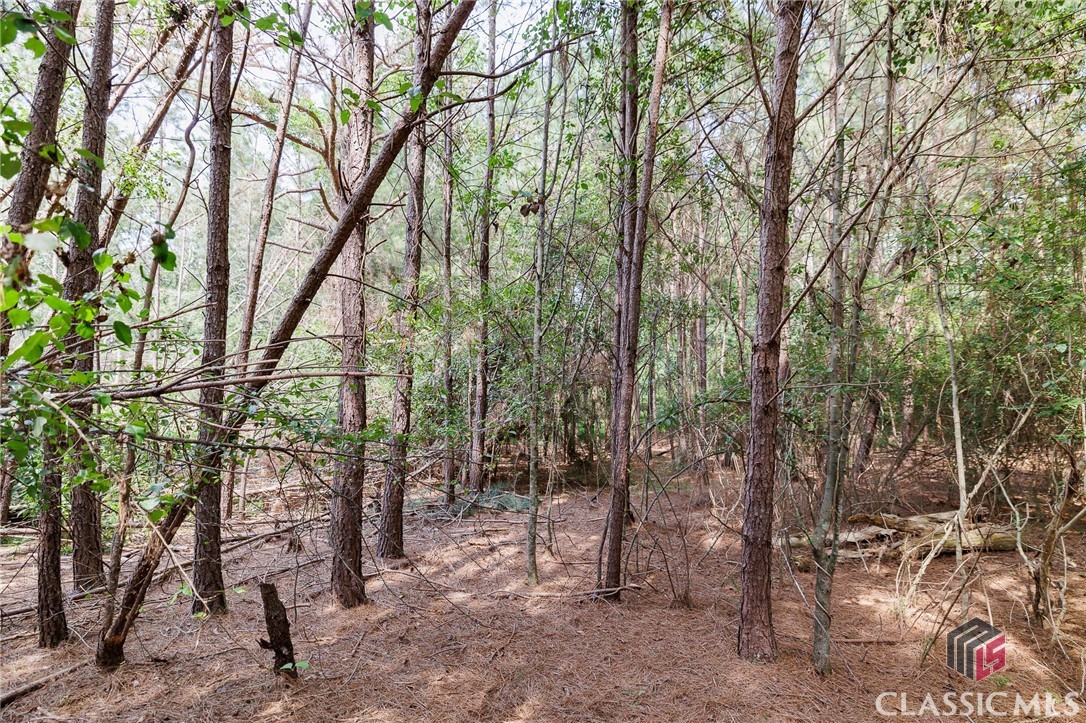 1620 Wellbrook Road Athens, GA 30606 - Photo 11 of 11