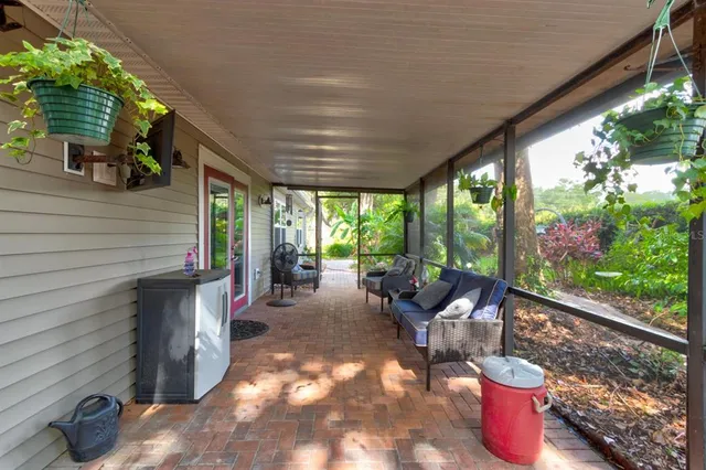 a view of a patio with chairs and plants