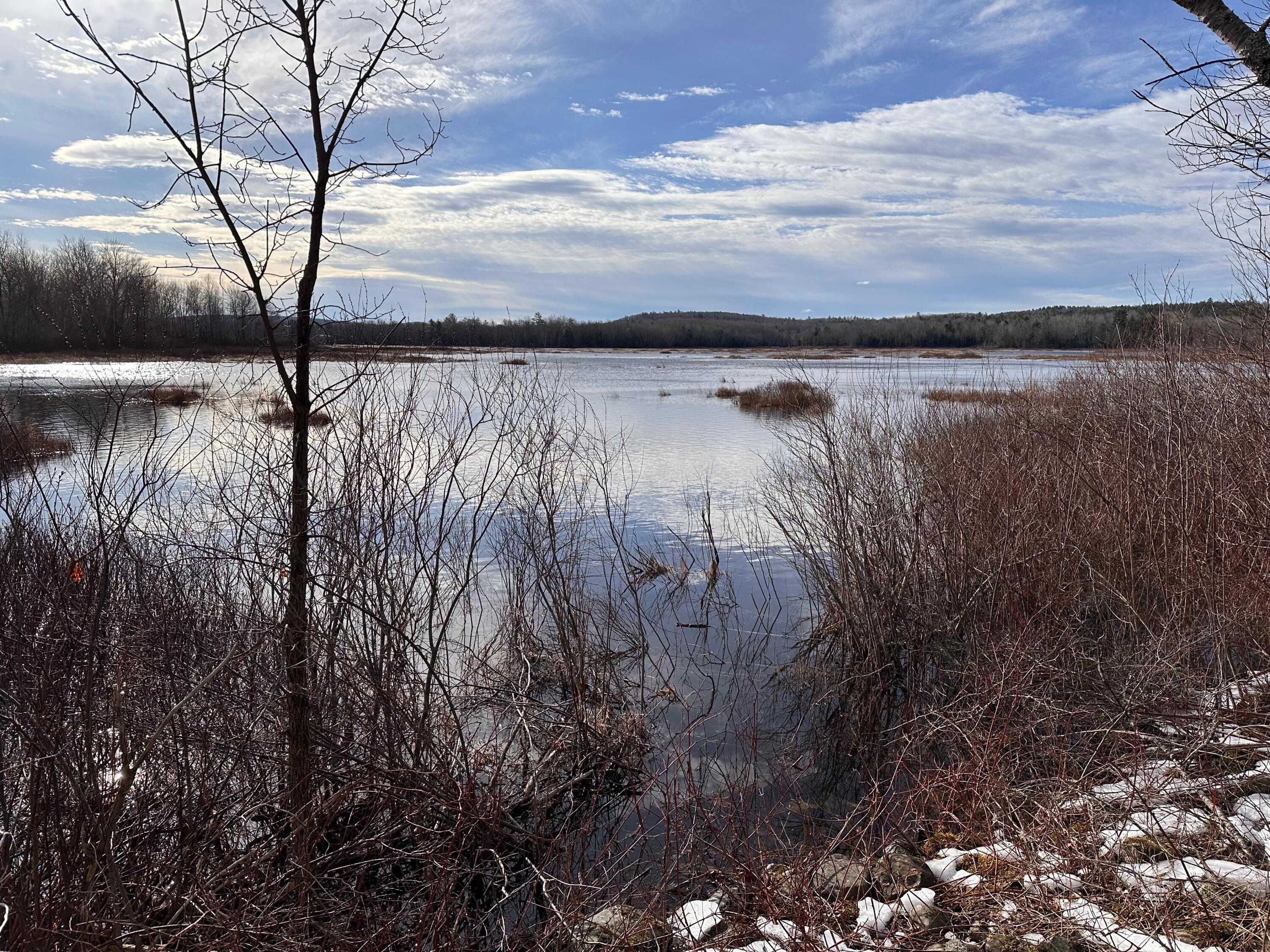 42 Fowler Road Orrington, ME 04474 - Photo 42 of 53 IMG_0512