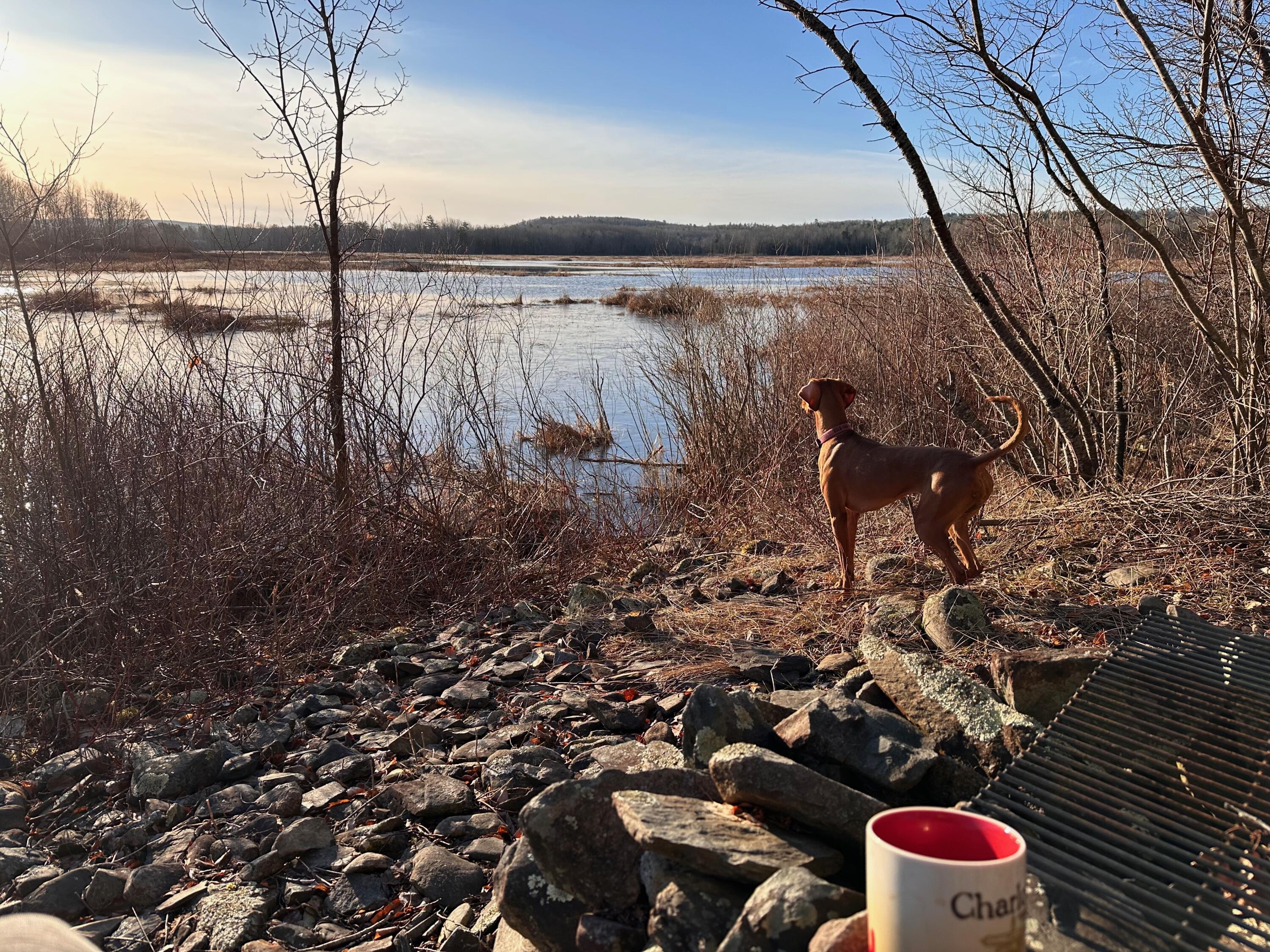 42 Fowler Road Orrington, ME 04474 - Photo 43 of 53 IMG_0388