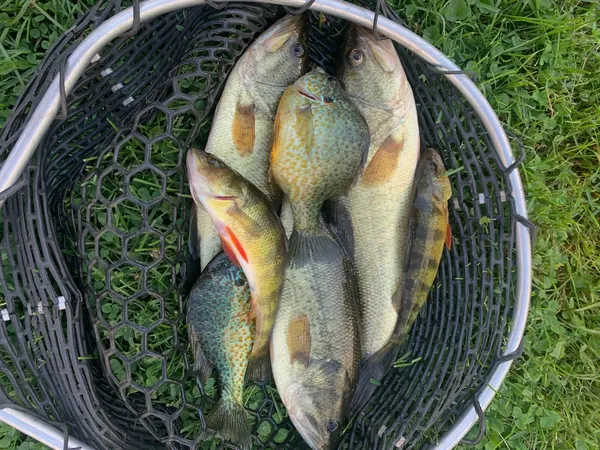 $369,000 | 42 Fowler Road, Orrington, ME 04474