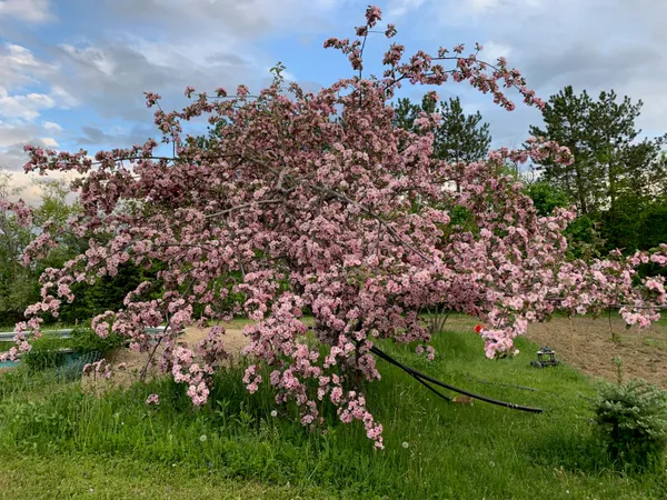 $369,000 | 42 Fowler Road, Orrington, ME 04474