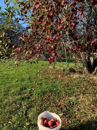 $369,000 | 42 Fowler Road, Orrington, ME 04474