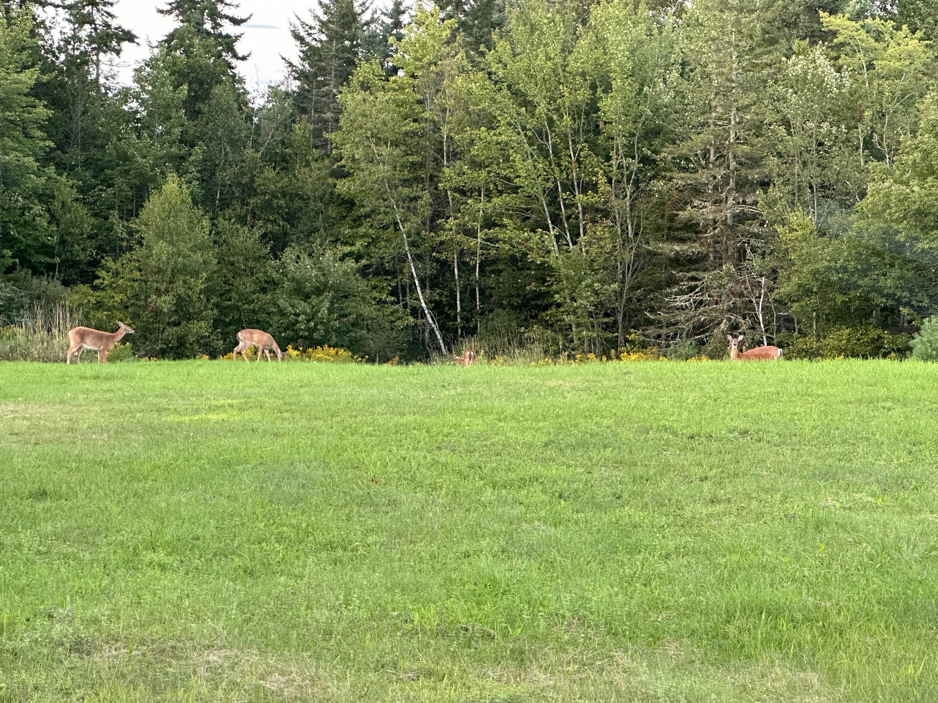 42 Fowler Road Orrington, ME 04474 - Photo 48 of 53 IMG_1081