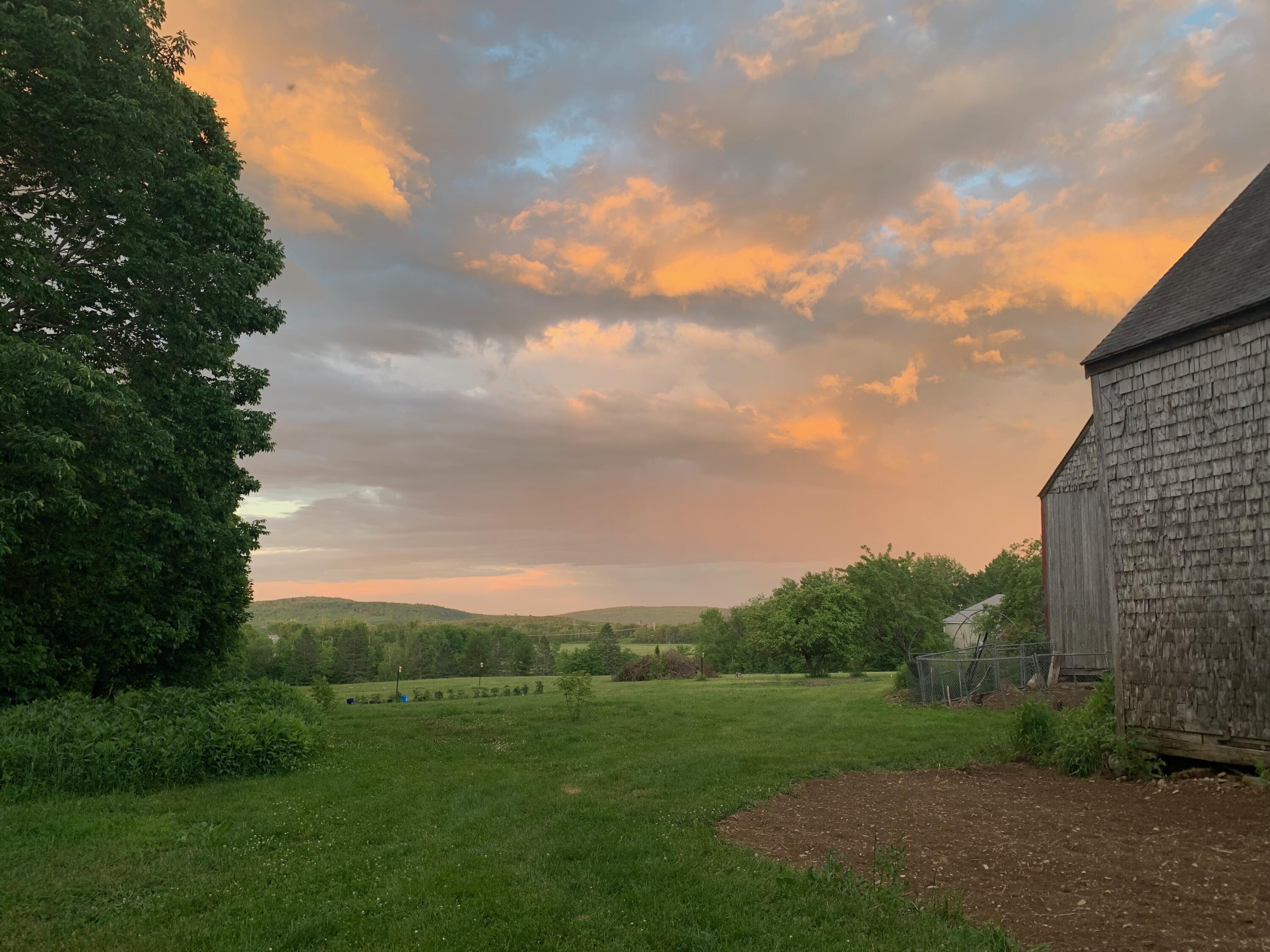 42 Fowler Road Orrington, ME 04474 - Photo 49 of 53 IMG_4482
