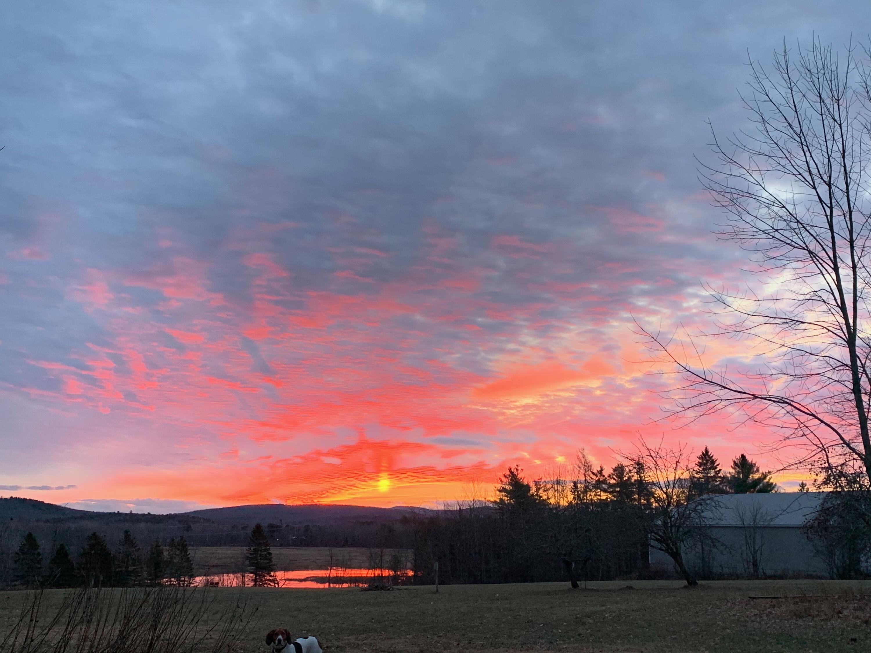 42 Fowler Road Orrington, ME 04474 - Photo 51 of 53 IMG_2031