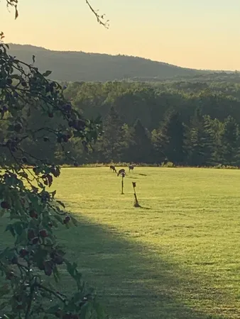 $369,000 | 42 Fowler Road, Orrington, ME 04474