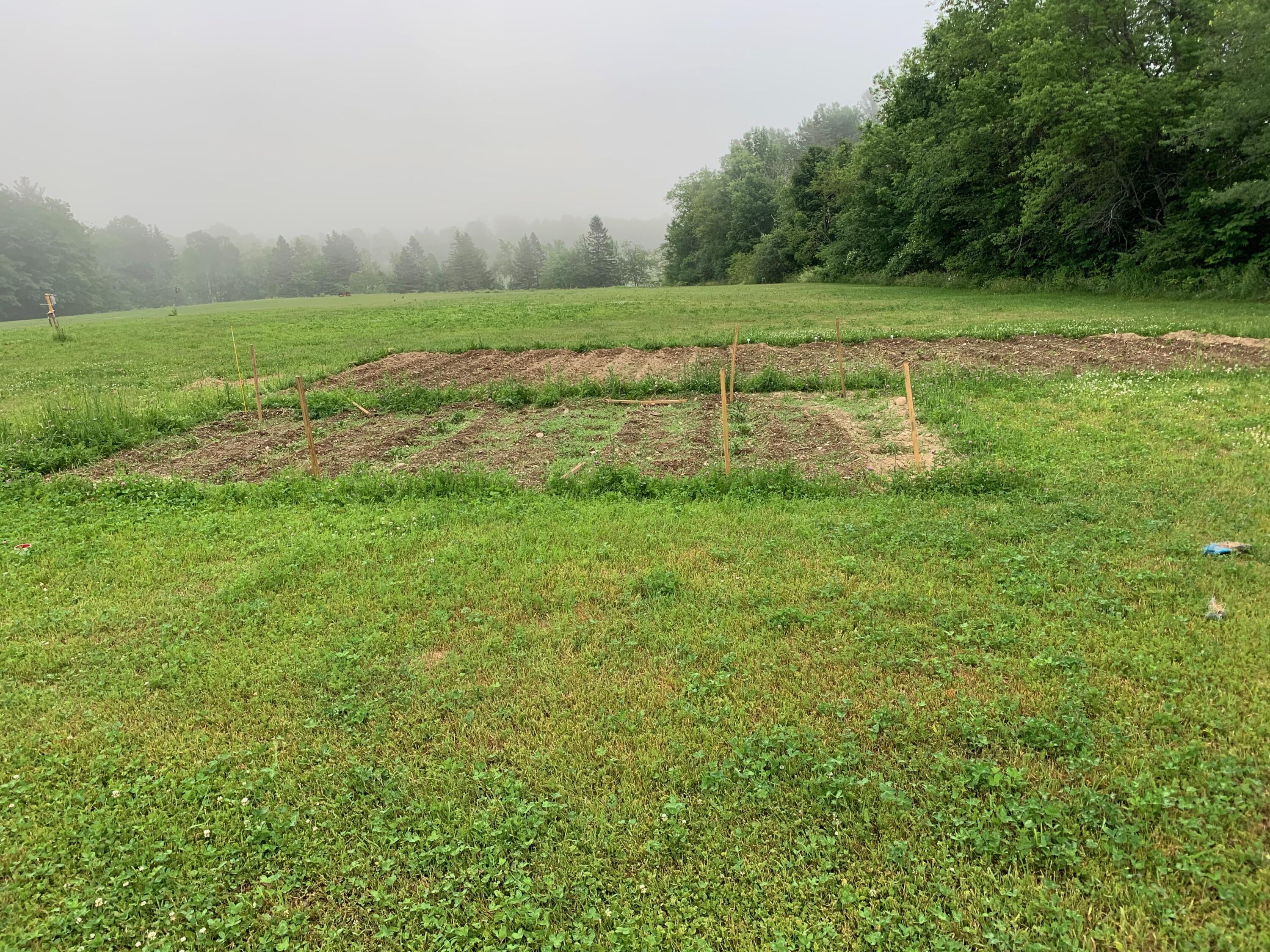 42 Fowler Road Orrington, ME 04474 - Photo 53 of 53 IMG_3150