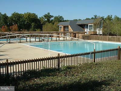 8320 Green Grass Road Laurel, MD 20724 - Photo 11 of 22 Swimming Pool