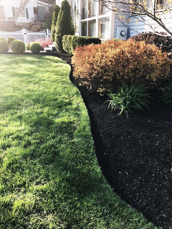 5 Clipper Way Beverly, MA 01915 - Photo 4 of 42 a view of a yard with plants