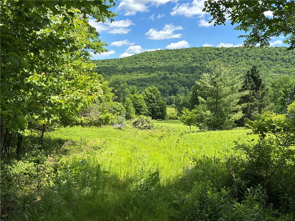 2613 Murphy Hill Road Andes, NY 13731 - Photo 25 of 35