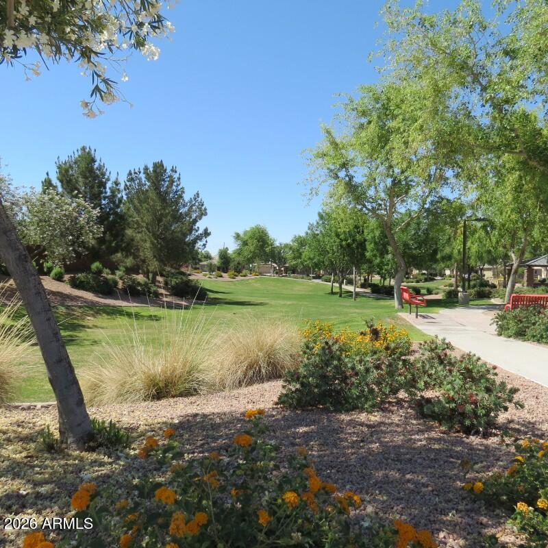 225 West Reeves Avenue Queen Creek, AZ 85140 - Photo 25 of 25