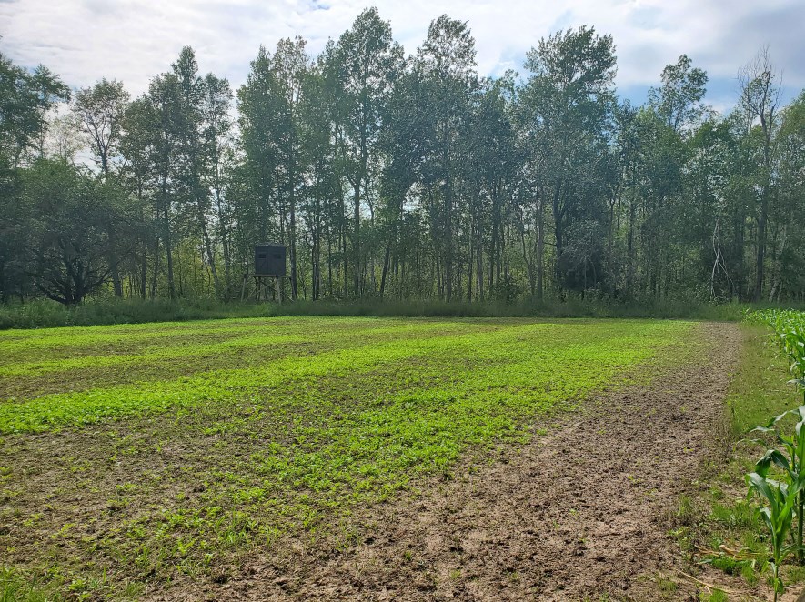 East Center Road Forestville, WI 54213 - Photo 10 of 15