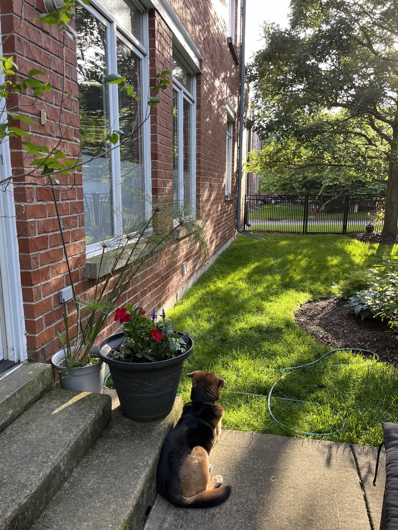 1515 Monroe Street, Unit A Evanston, IL 60202 - Photo 31 of 38