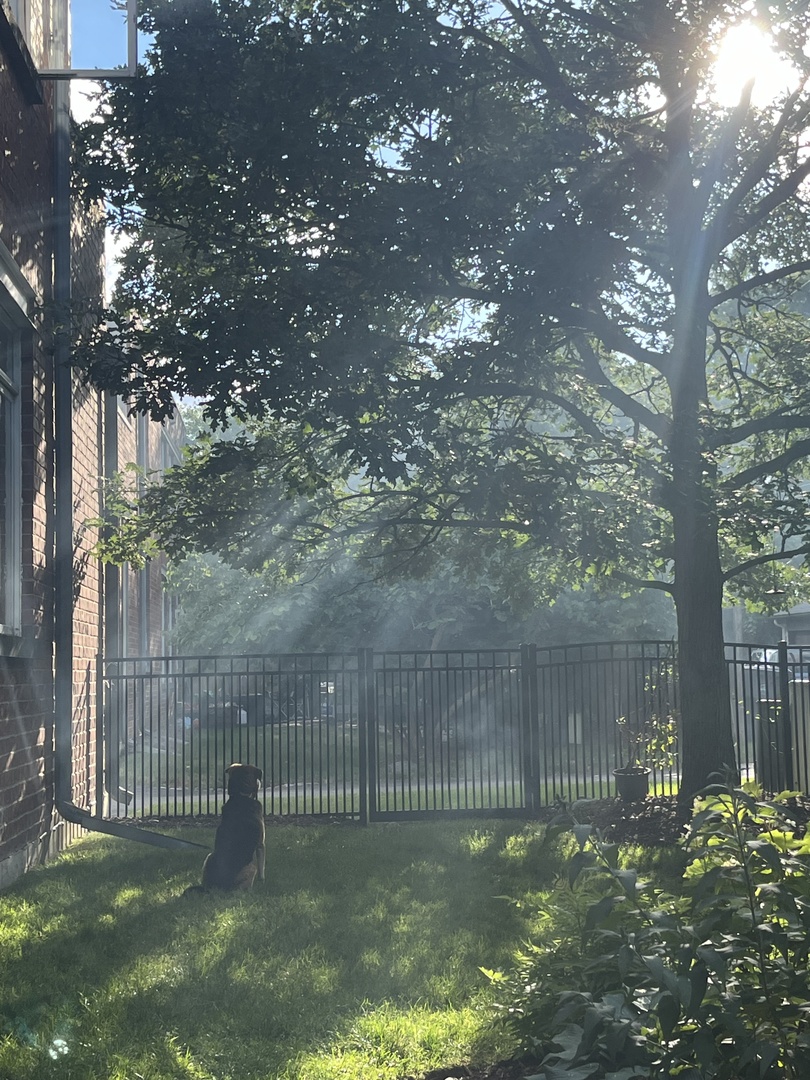 1515 Monroe Street, Unit A Evanston, IL 60202 - Photo 34 of 38