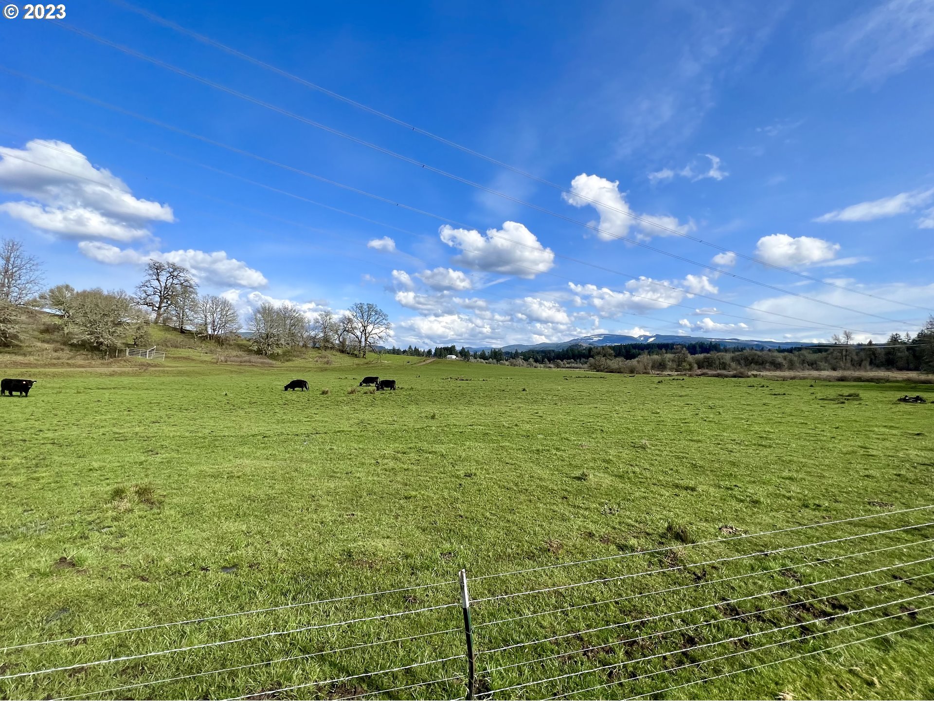 39489 Kingston Jordan Road Scio, OR 97374 - Photo 44 of 47