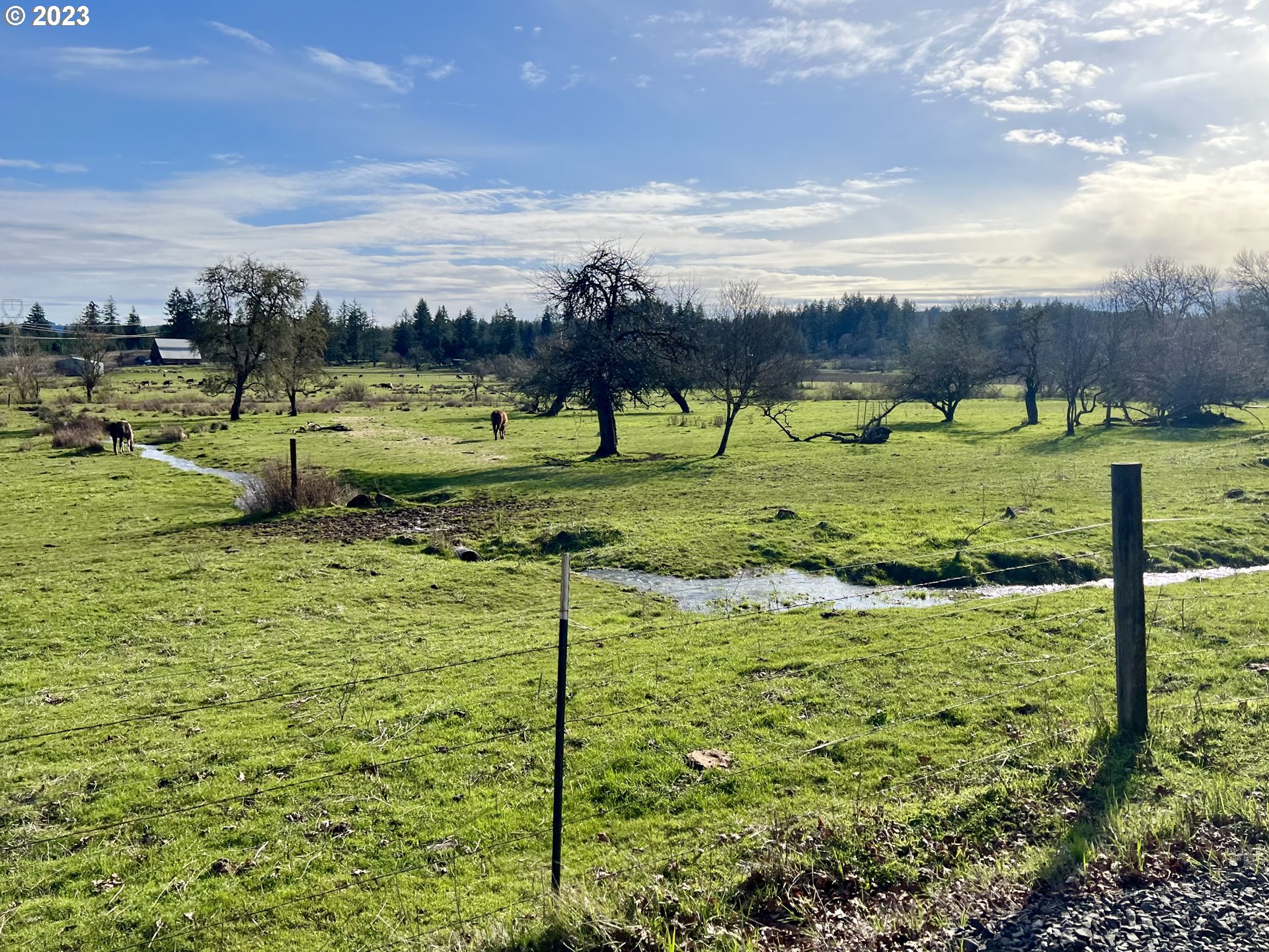 39489 Kingston Jordan Road Scio, OR 97374 - Photo 45 of 47 a view of a garden with an outdoor space