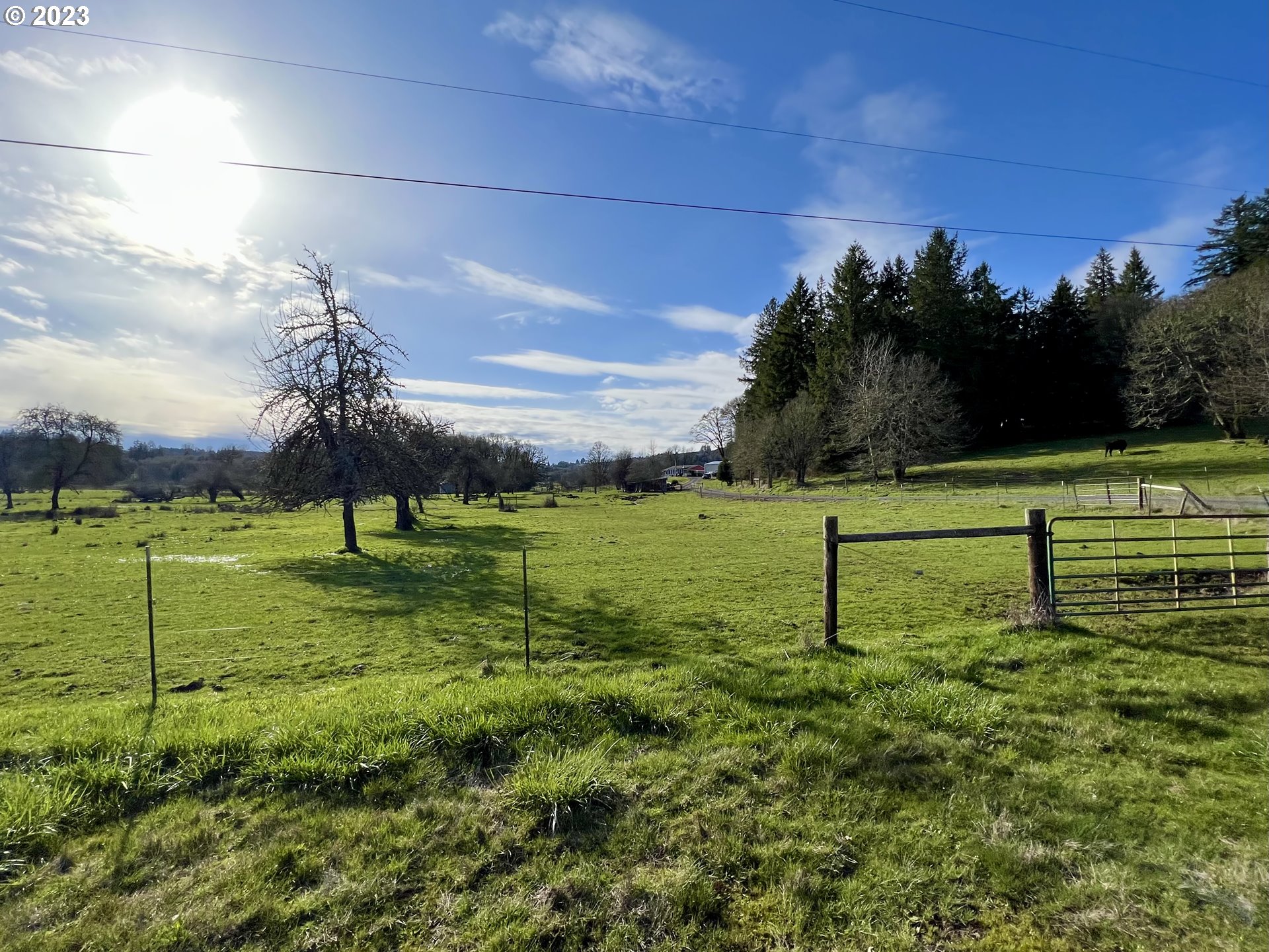 39489 Kingston Jordan Road Scio, OR 97374 - Photo 46 of 47 a view of a park