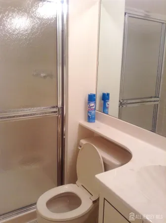 a bathroom with a sink and toilet