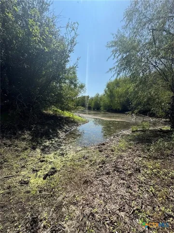 a view of a yard with plants and a tree