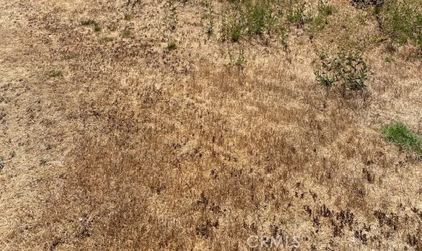 a close up of a wall