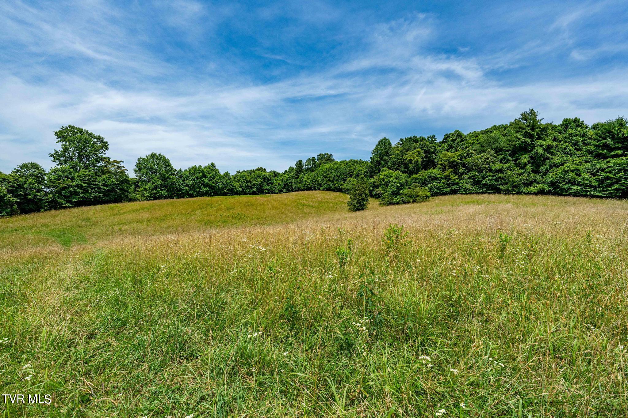 0 Eaton Station Road, Unit 1 Kingsport, TN 37664 - Photo 33 of 37 TBD Eaton Station Rd (33 of 37)