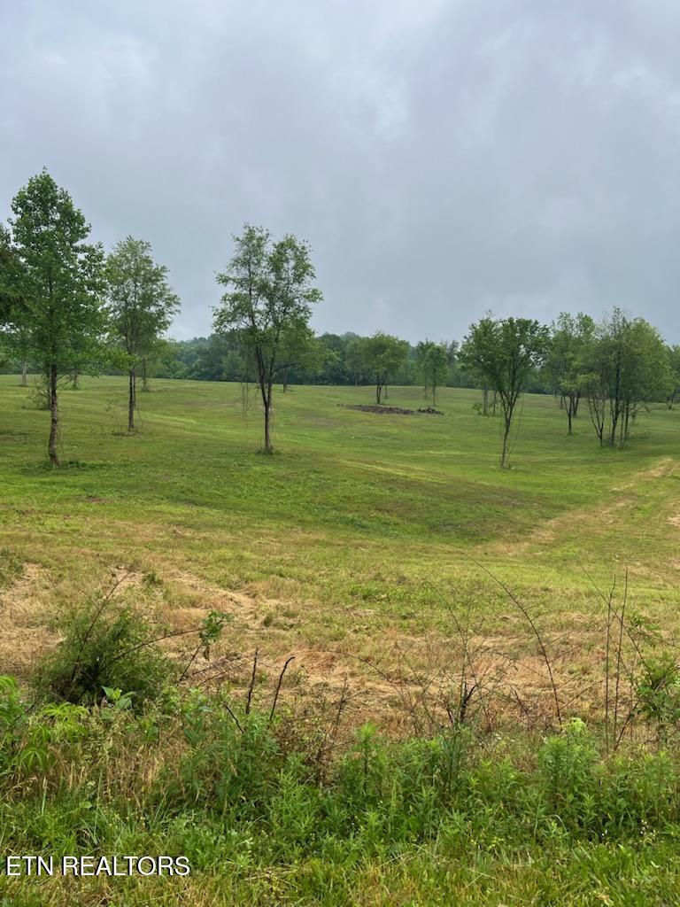 Stone Mill Road Jacksboro, TN 37757 - Photo 1 of 5 IMG956409