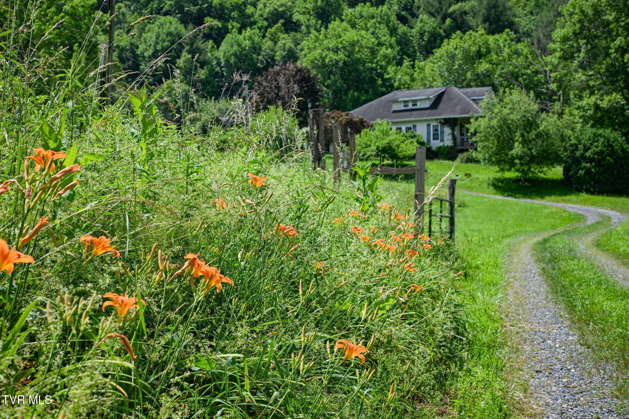 120 Teaberry Road Roan Mountain, TN 37687 - Photo 55 of 56 55-web-or-mls-EXT_4047