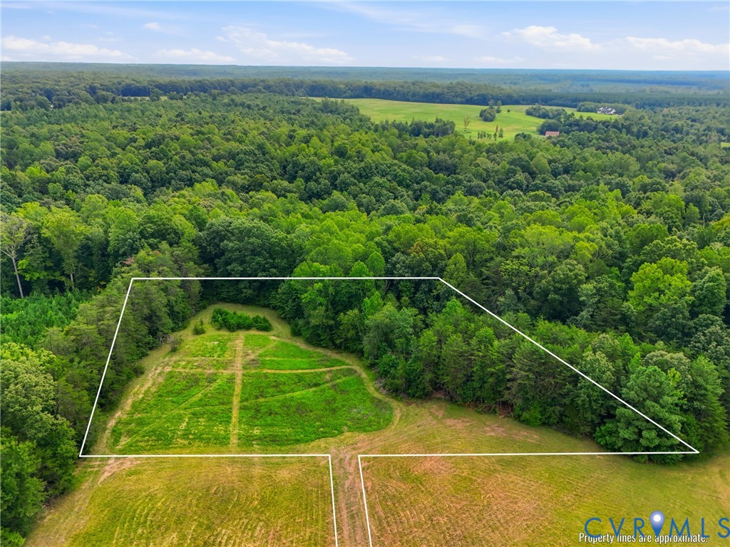 10672 Cross County Road Mineral, VA 23117 - Photo 27 of 33 Expansive wooded acreage with cleared sections, su