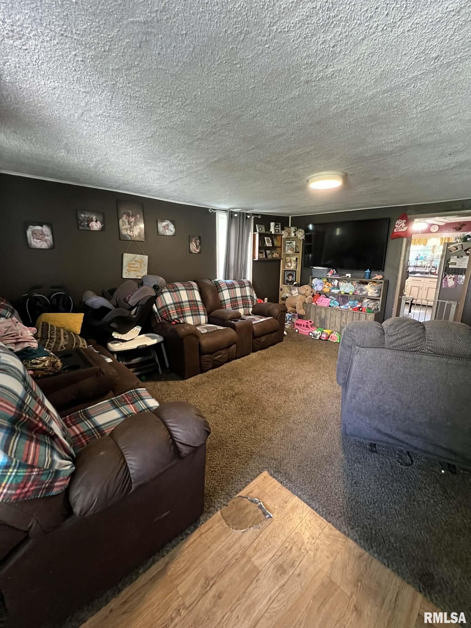 212 Main Street Eddyville, IL 62928 - Photo 11 of 17