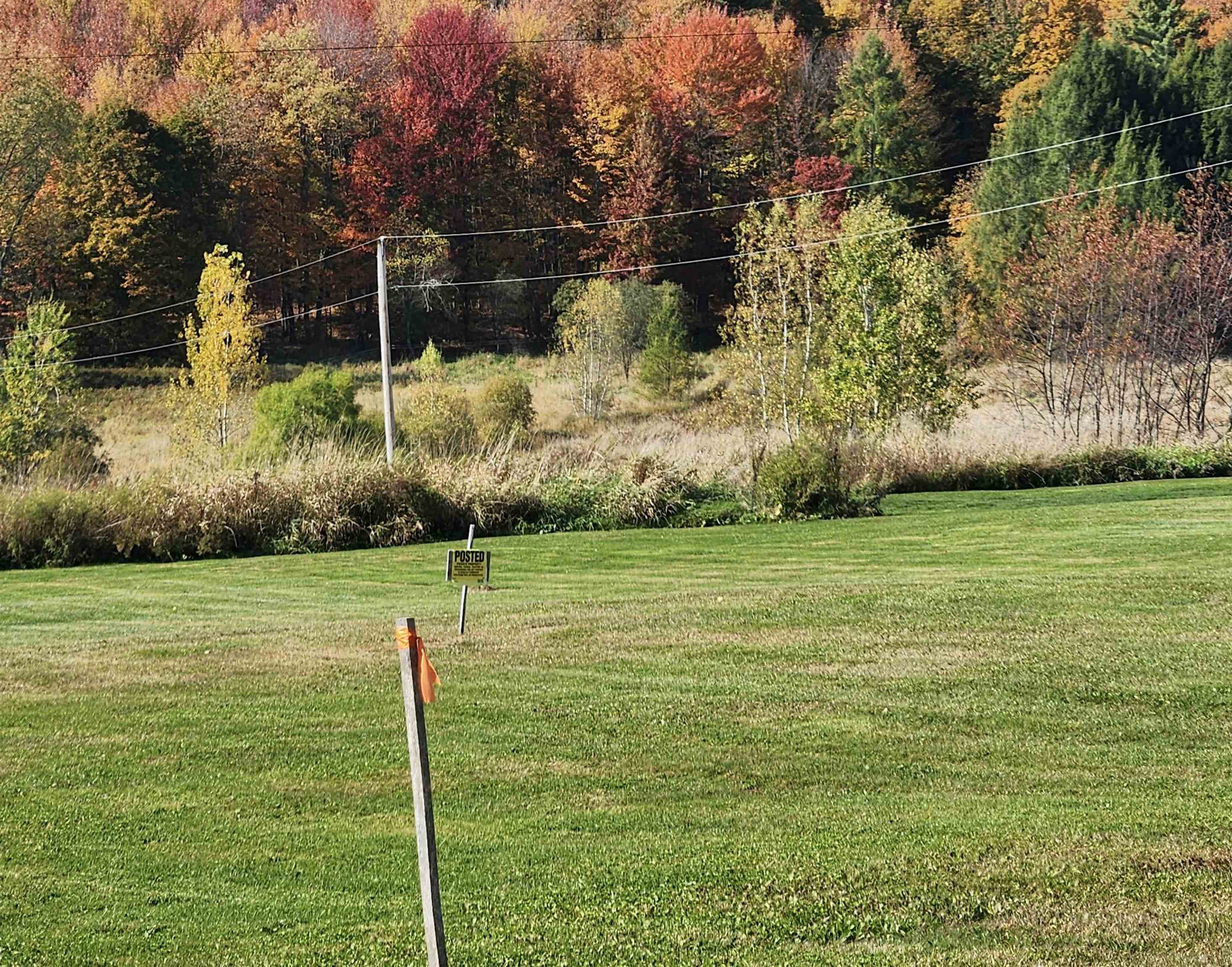 3007 West Berkshire Road Berkshire, VT 05450 - Photo 2 of 17