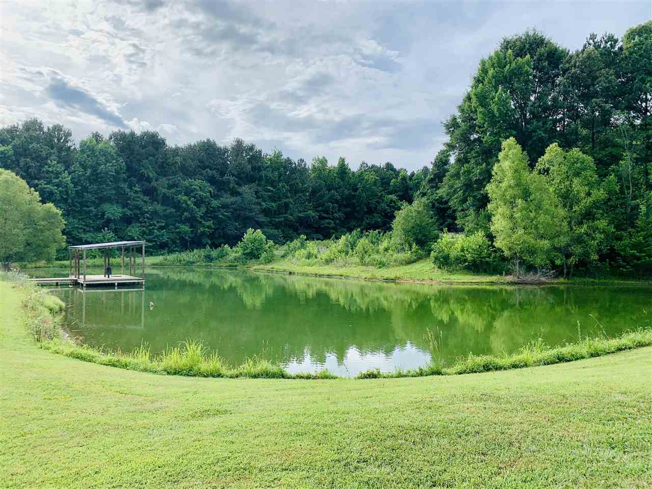 0 Craig Road Ripley, TN 38063 - Photo 1 of 14