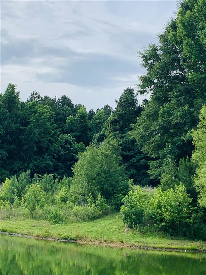 0 Craig Road Ripley, TN 38063 - Photo 3 of 14