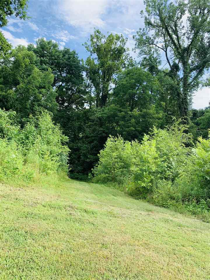 0 Craig Road Ripley, TN 38063 - Photo 4 of 14