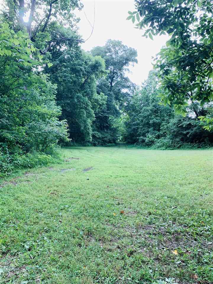 0 Craig Road Ripley, TN 38063 - Photo 8 of 14