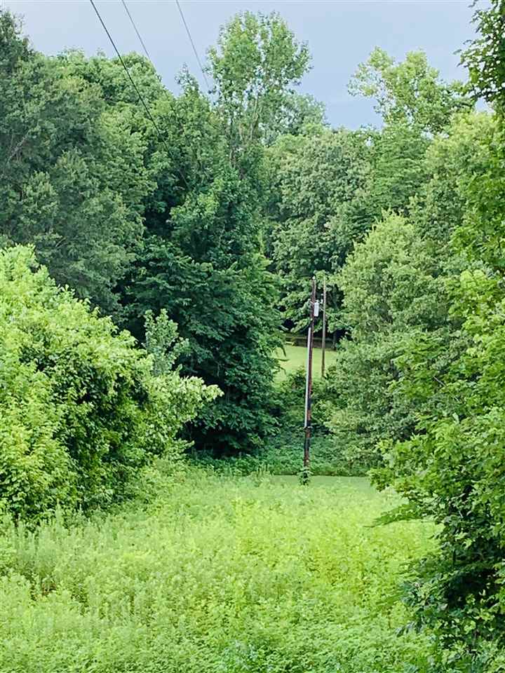 0 Craig Road Ripley, TN 38063 - Photo 9 of 14