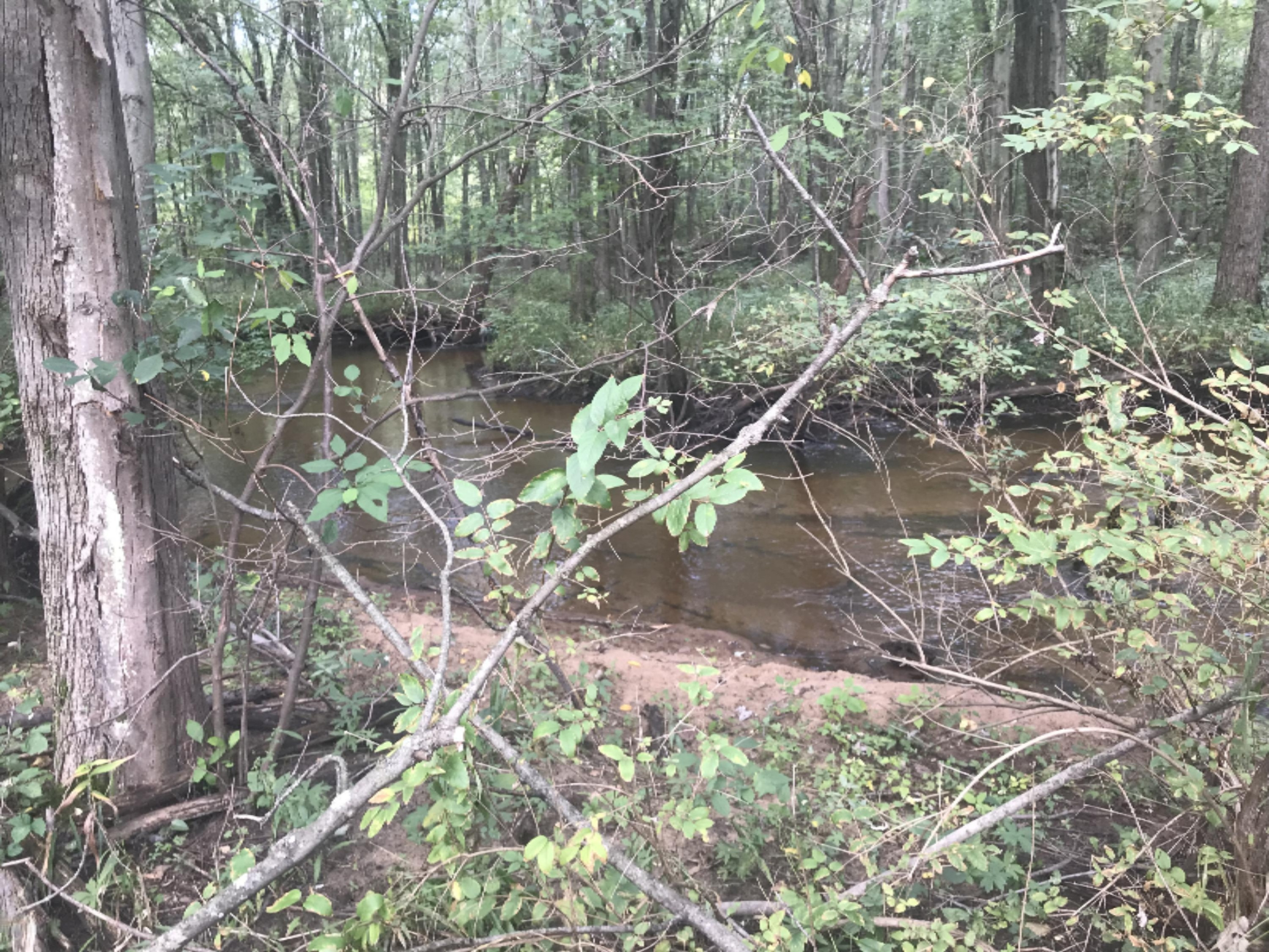Black Creek