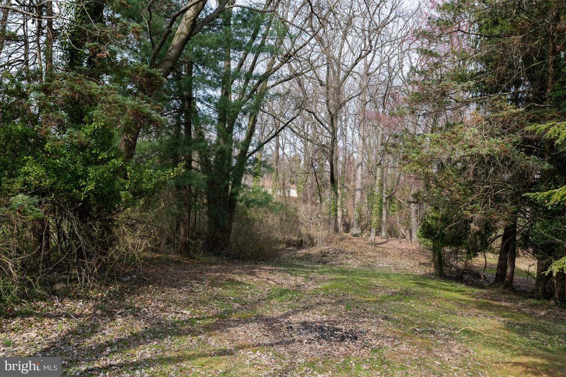 5921 Shady Spring Avenue Rosedale, MD 21237 - Photo 32 of 33 Private Wooded Lot